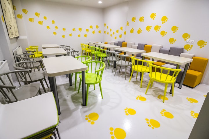 Spitalului Clinic de Copii, Brașov
